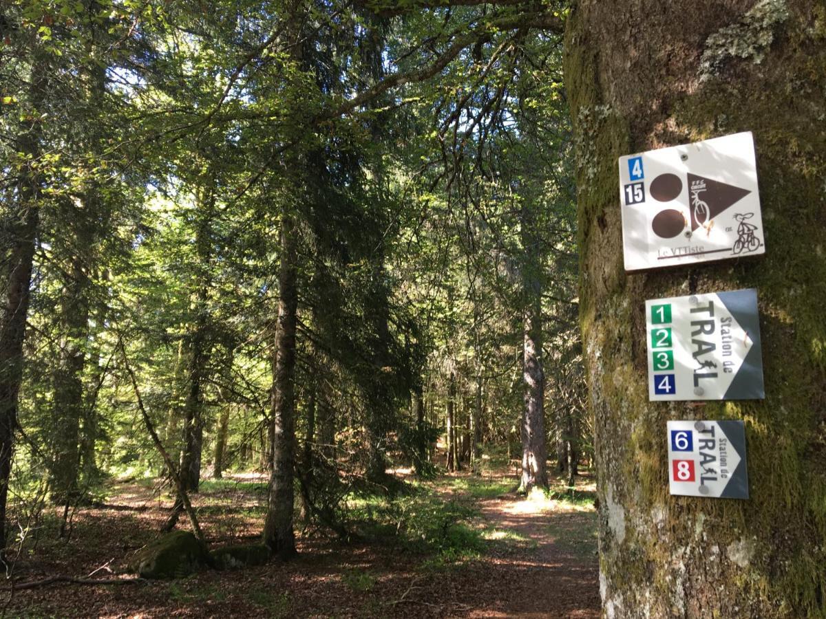 Le Belvosgien Leilighet Gérardmer Eksteriør bilde